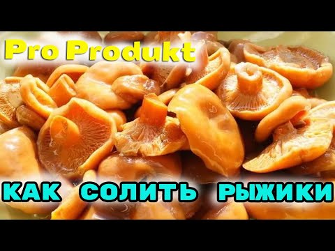 Как солить рыжики на зиму холодным способом