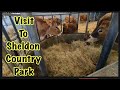 Visiting Animal Farm In England #dayout #farm #animals #sheldoncountrypark#youtubeshorts #nature