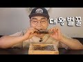 달달한 벌꿀 먹방~!! 리얼사운드 social eating Mukbang(Eating Show)