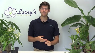 Come Join Our Google+ Community!