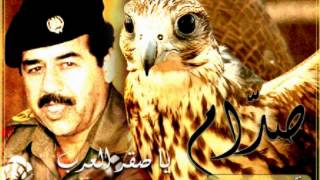 صدّام يا صقر العرب