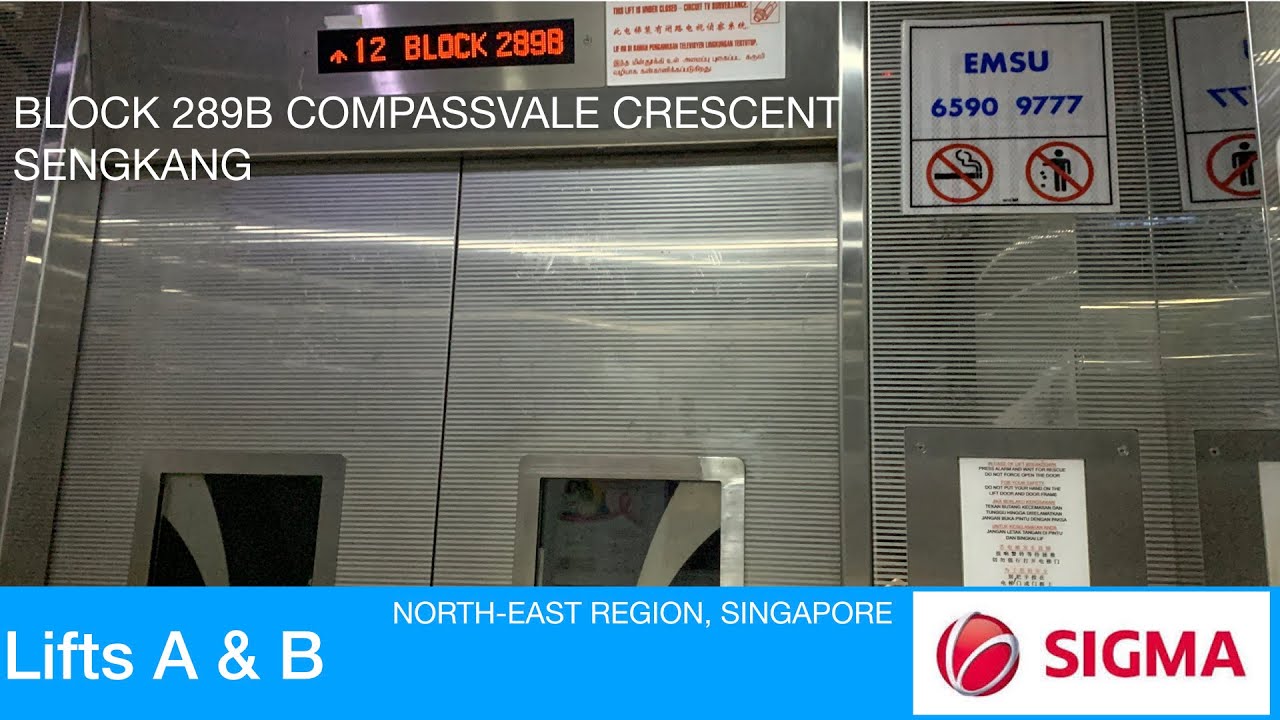 HDB Block 289B Sengkang || Sigma Elevator - YouTube