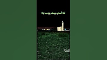#القرآن_الكريم #تلاوة_مميزة #تلاوات_خاشعة #quran #قرآن_كريم #ماهر_المعيقلي #تلاوة_خاشعة