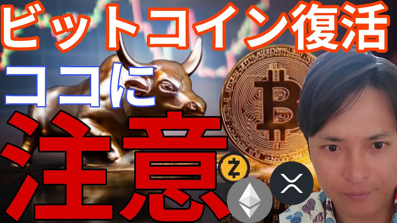 Usi ビット コイン (99) 사진