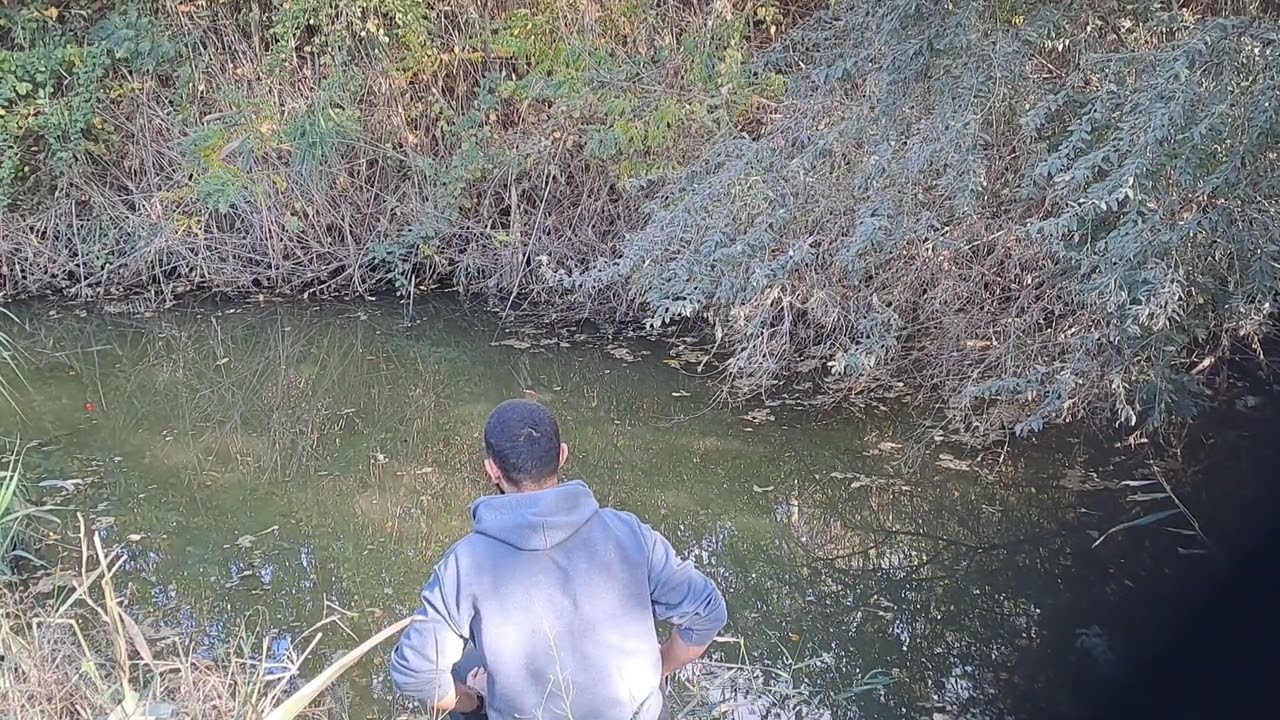 Super SAZAN OVU 2 eded .sona kimi baxın 