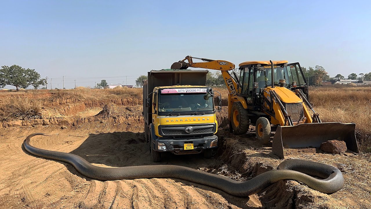 Jcb 3dx Backhoe Loading Murum In Bharatbenz And Tata 2518 Hayva | Jcb Loading Truck | Jcb video