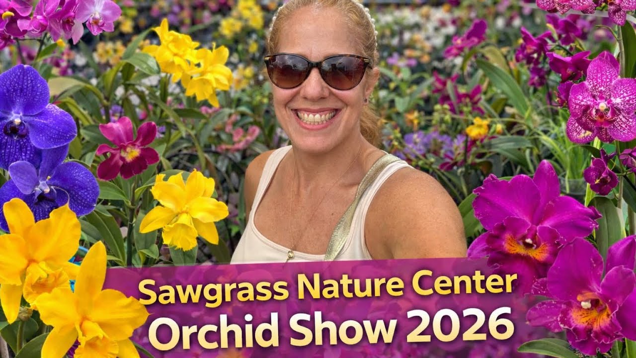 Orchid Show Extensive Tour! 2026 Sawgrass Nature Center ! Spectacular Blooms! 