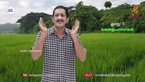 First Bell 2.0 STD 05 Malayalam Keralapadavali Class 14