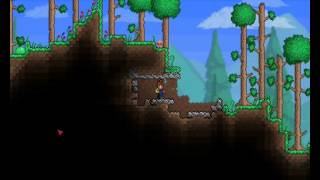 WTF? Nemoku loši Terraria