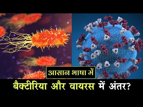 जाने बैक्टीरिया और वायरस में अंतर आसान भाषा में | Bacteria Vs Virus in Hindi