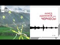 Ахмед Адамоков - Черкесы | KAVKAZ MUSIC