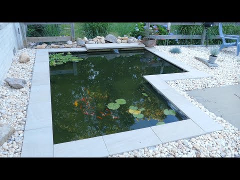 DIY Modern Backyard Koi Pond On A Budget