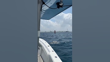 Understanding General Rules of the Road on the Ocean 🌊