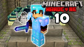 The END! (Minecraft Hardcore EP 10)