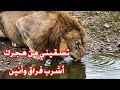 تسقيني من هجرك اشرب فراق وأنين 