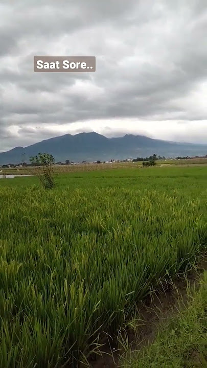 Sore dengan Pemandangan Gunung.. #shorts #bandung #fyp #ytshorts #pemandangan