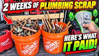 I Saved Plumbing Scrap for 2 Weeks… Here’s What It Paid!
