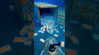 Top 10 Mysterious Discoveries on the Ocean Floor Filmed with a Camera on a Fish #AnimalPOV #GoPro