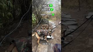 ARMY DOGS ✅ #funny #dogs #virel #pets #reels #virelshorts#short#shorts#funnyshorts #dogslife