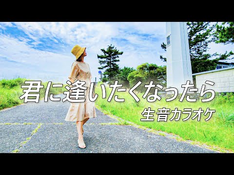 【カラオケ用/生音】君に逢いたくなったら / ZARD