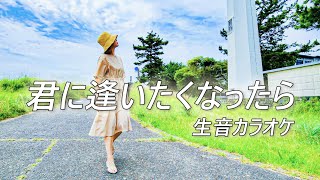 【カラオケ用/生音】君に逢いたくなったら / ZARD