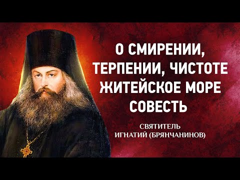 06 О Смирении, терпении, чистоте, Житейское море, Совесть — Аскетические опыты — Игнатий Брянчанинов