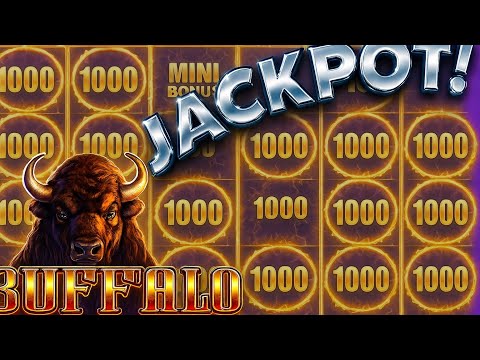 Playing a High Limit Buffalo Slot Machine Guaranteed a Huge Jackpot 🤯