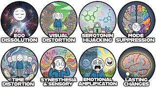 Every Psychedelic Effect On The Brain Explained In 16 Minutes