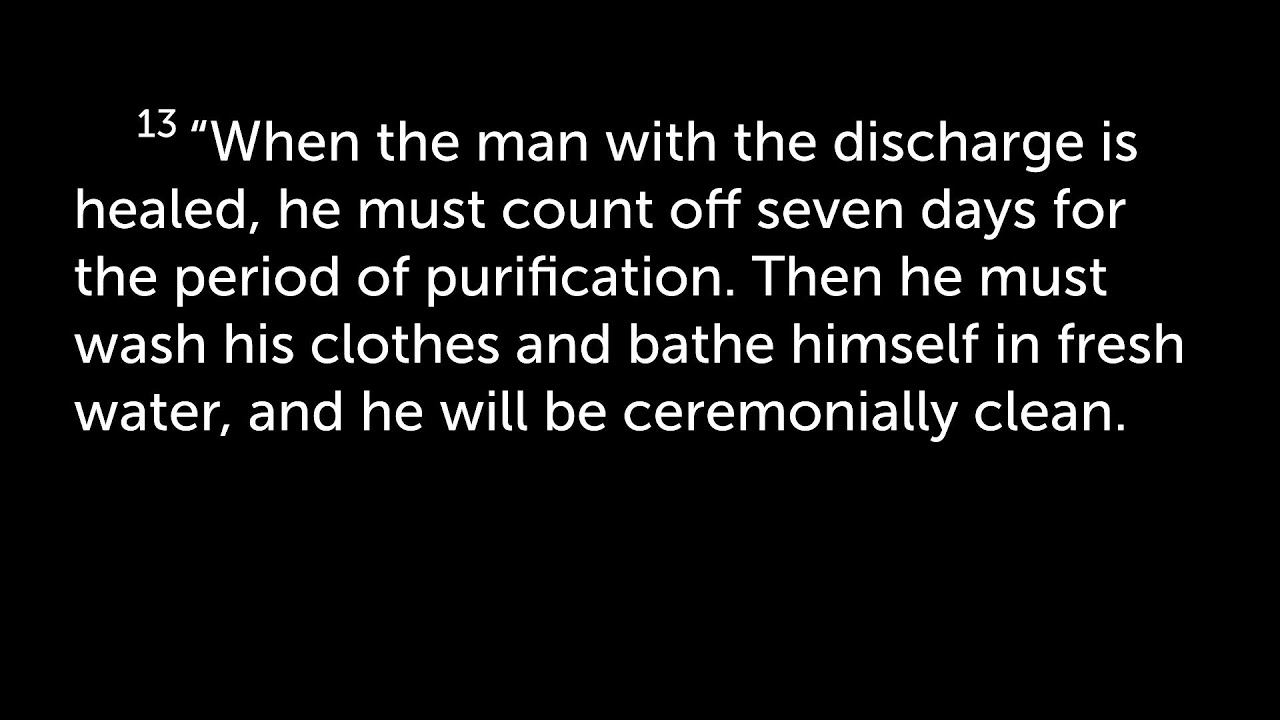 Bible Study