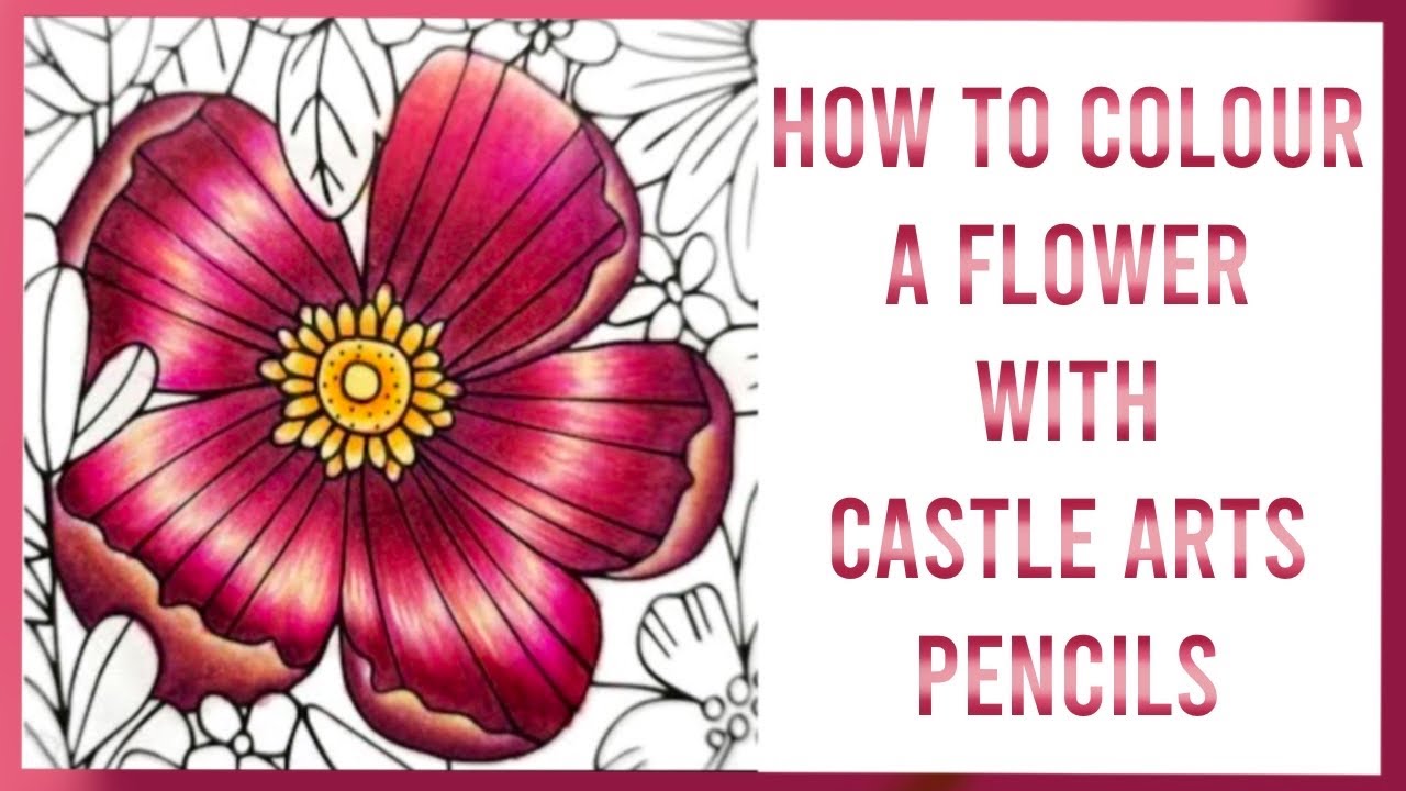 Coloring a Flower in Real Time with Castle Art Colored Pencils