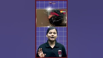 Why Dead Bodies Float??