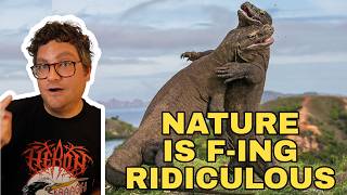 16 weird and underrated animals | Alex Falcone