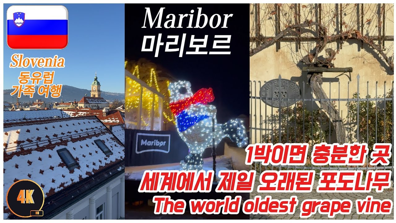 [ENG SUB]🇸🇮[East Europe vlog] EP.5 Maribor 마리보르 