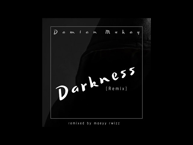 Damian Mukay - Darkness (Official Audio Remix) class=
