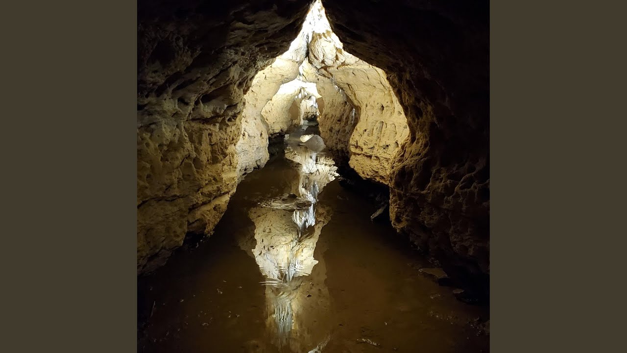 Love Has No Language