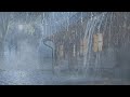 Rain Sounds for Sleep (No Ads) – Heavy Rain Ambience
