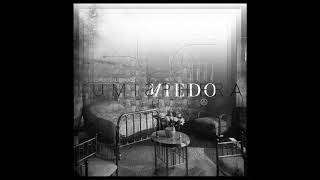 Video thumbnail of "Estados Alterados - Miedo (Audio Cover)"