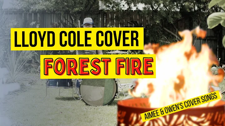 Aimee and Owen - Forest Fire (Lloyd Cole cover)