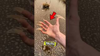 Никогда не опускайте пальцы в пенистую воду вот так… #шорты
