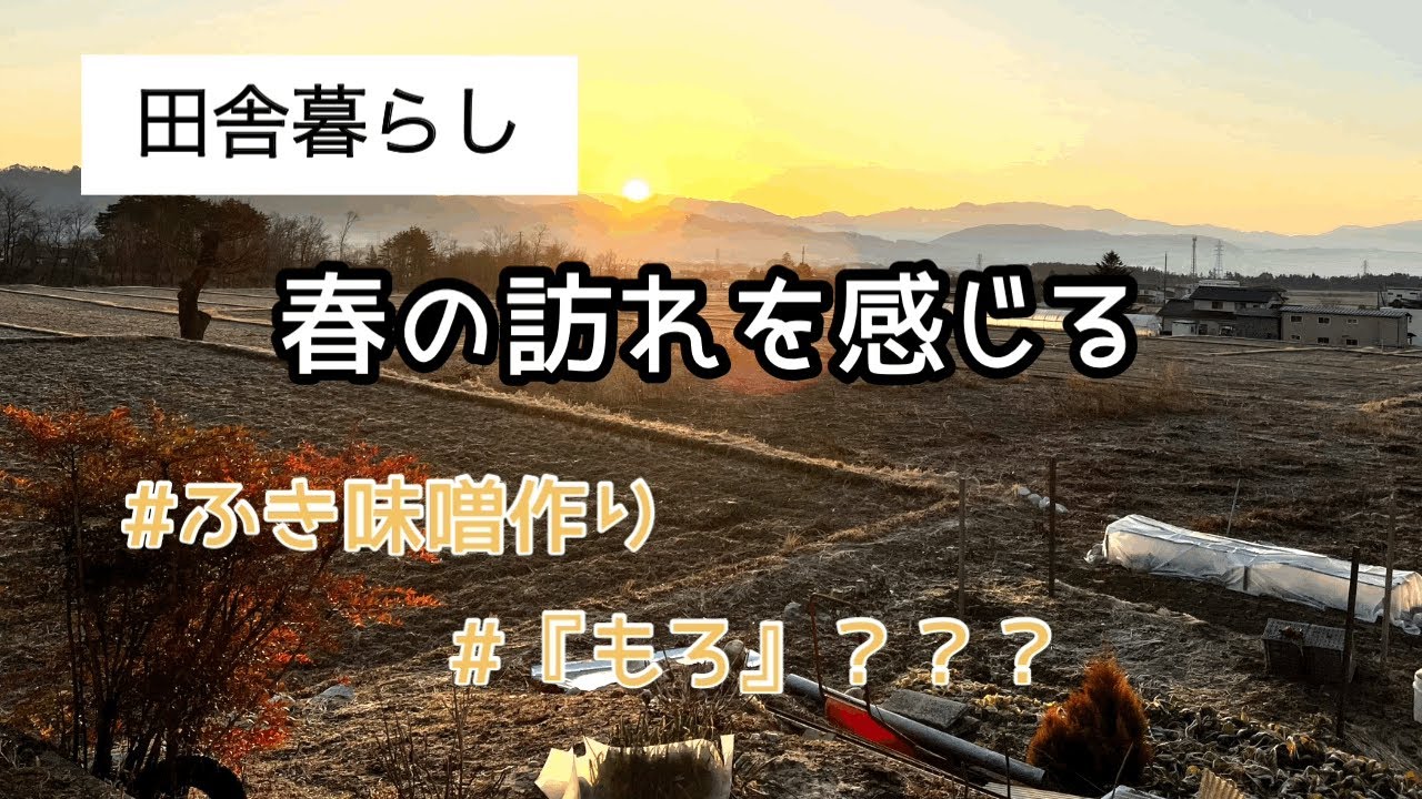 大根大量消費 ごんじり漬け ばぁばの味 めちゃウマ ご飯が止まりません 大根 漬物 レシピ Youtube