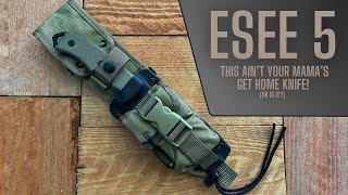 ESEE 5 - Could it be the Ultimate Urban Survival Knife in 2023??