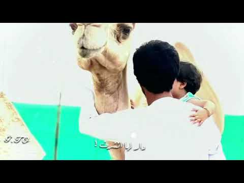 والعرب من كل دار انهي شرب