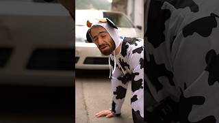 Wenn Die Kuh Flüchtet