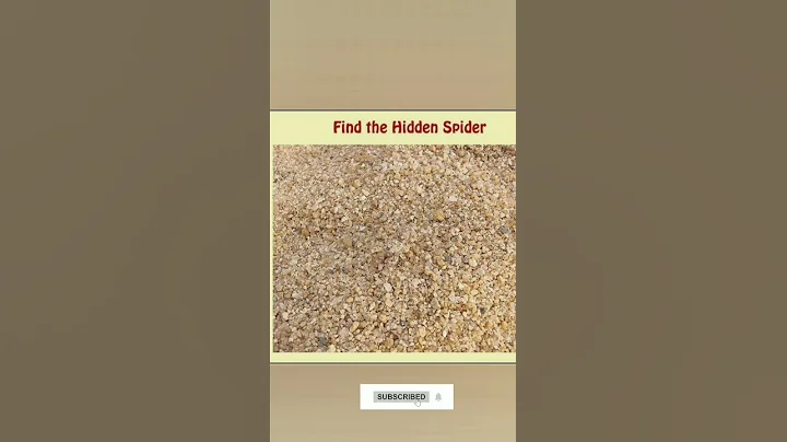 Find the hidden spider |Optical eye illusions| #shorts