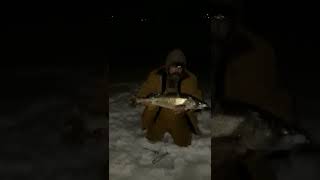 waubesa walleye