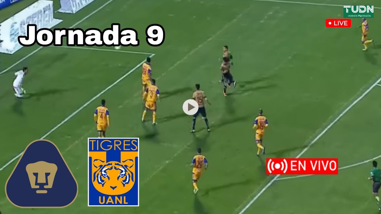 Pumas vs. Tigres en vivo, donde ver, a que hora juega Pumas vs. Tigres ...