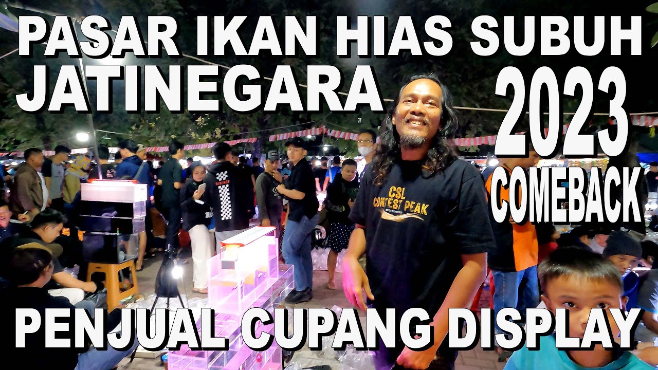 PASAR IKAN HIAS SUBUH JATINEGARA TAHUN 2023 PENJUAL CUPANG  DISPLAY SOLITER