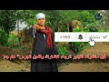 رقصه ممتعه من قلب الصعيد علي مزمار الارغول