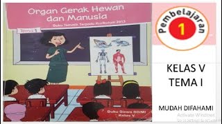 Kelas 5 Tema 1 Subtema 1 Pembelajaran 1 Organ Gerak Hewan dan Manusia Kelas 5 Tema 1 Subtema 1 Pembelajaran 1 Organ Gerak Hewan dan Manusia