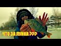 ЧТО ЗА ЛУНКА??? Таня жжет. Зимняя рыбалка 2019. Семейная рыбалка.